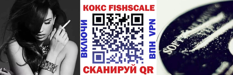 Купить закладки  Беломорск  Cocaine Fish Scale 