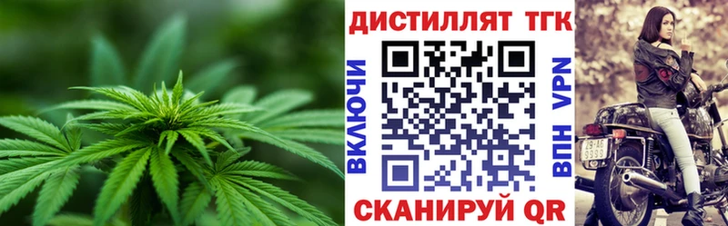 Купить где  Беломорск  ТГК вейп 